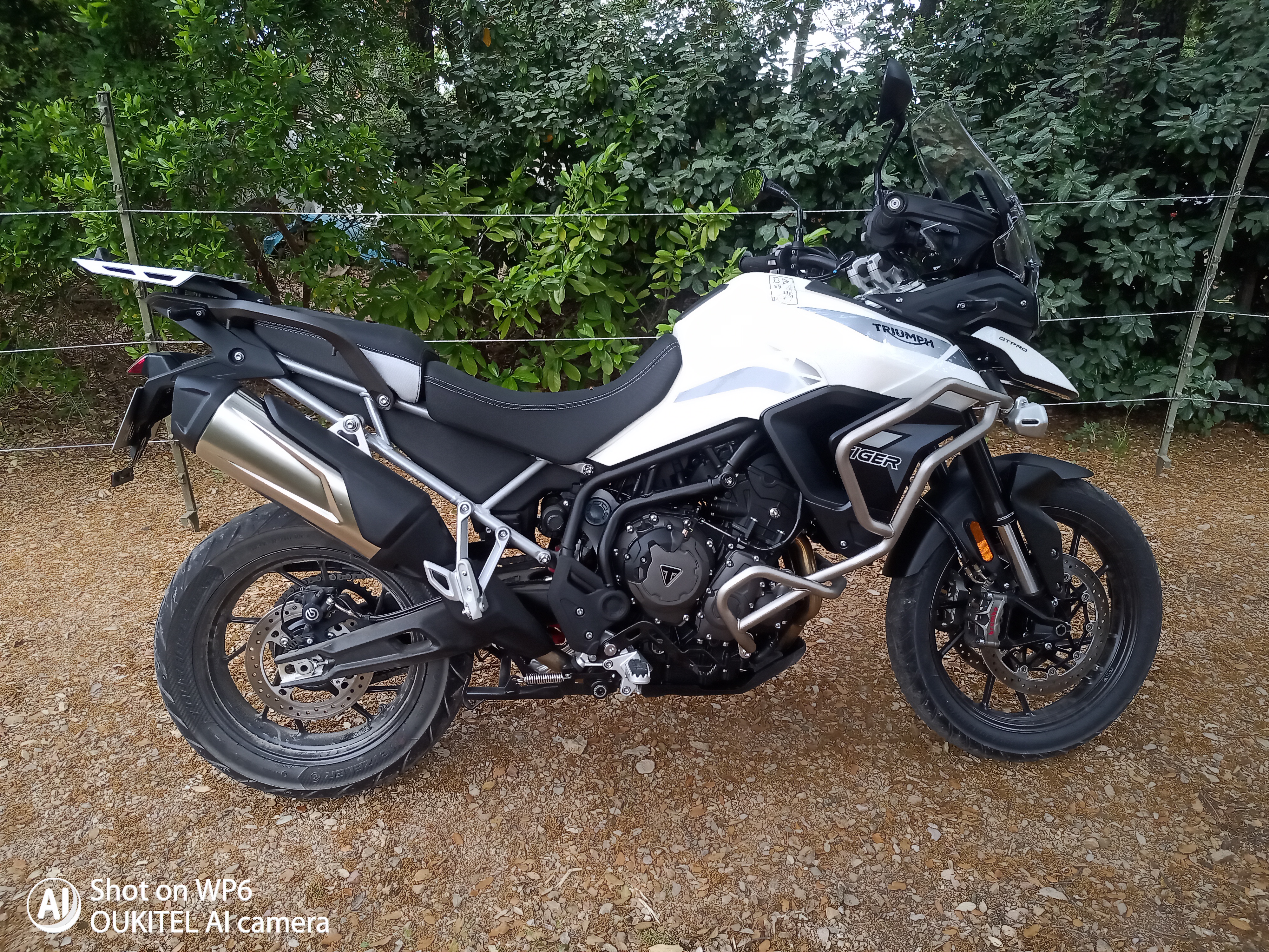 TRIUMPH TIGER GT PRO BLANC