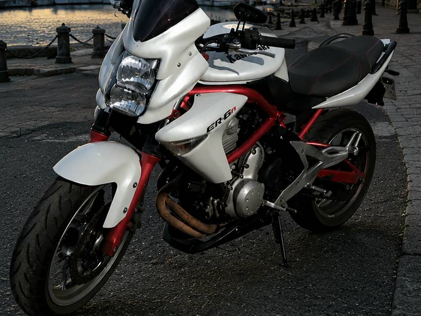 Moto Er-6n